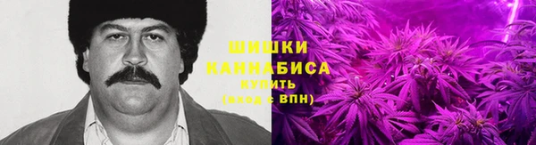 стаф Балахна