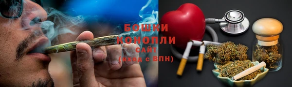 шишки Снежинск