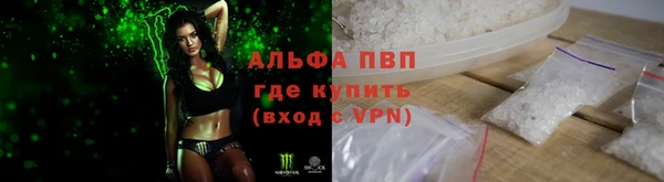 стаф Балахна