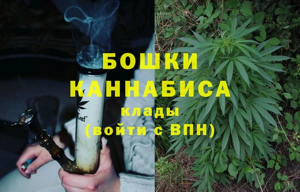стаф Балахна