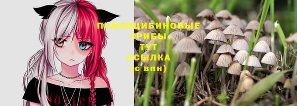 стаф Балахна