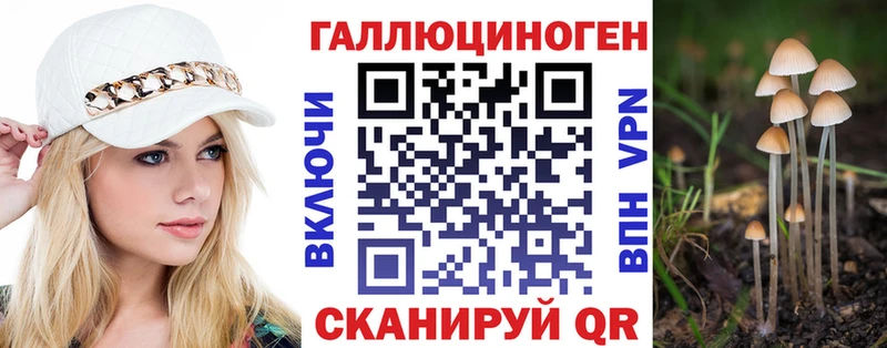 закладка  Благодарный  Псилоцибиновые грибы Psilocybine cubensis 