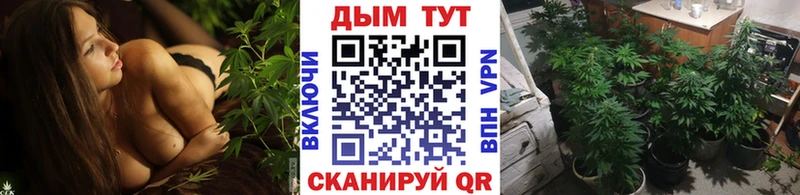 Бошки марихуана план  Благодарный 